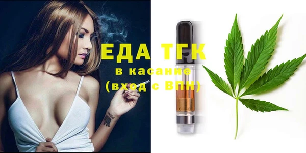 индика Магас