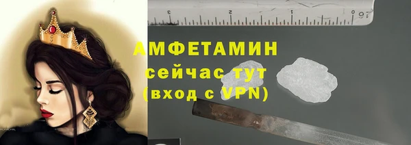 дмт Мегион