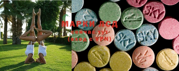 индика Магас