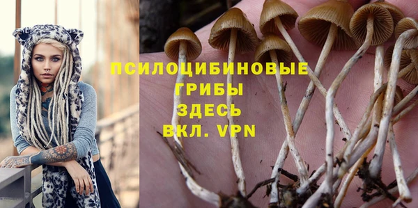 не бодяженный Медвежьегорск