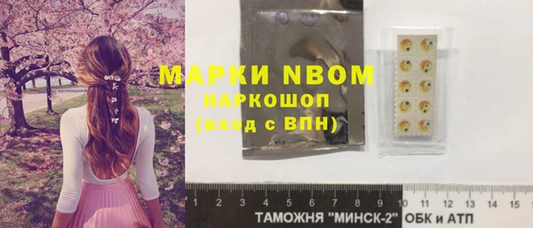 индика Магас