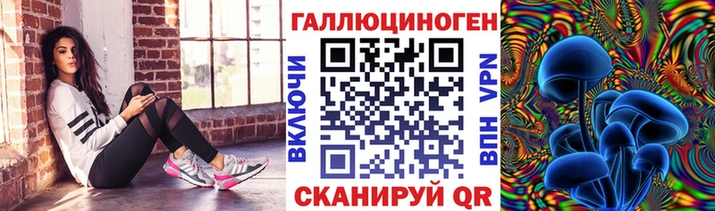 Псилоцибиновые грибы Psilocybine cubensis  Купить закладки  Елизово 